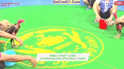 gachoic1 com dakpuer